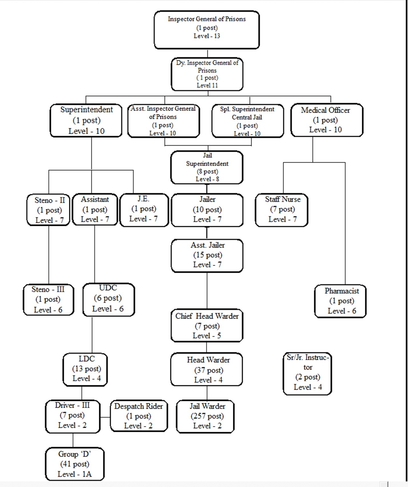 Organisation chart.jpg